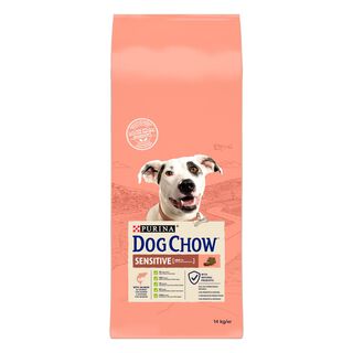 Dog Chow Sensitive com salmão ração para cães